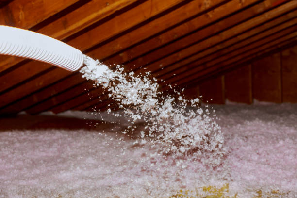 Best Insulation Maintenance and Repair in Schler Park, IL