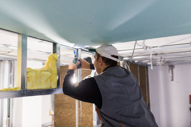 Best Commercial Insulation in Schler Park, IL