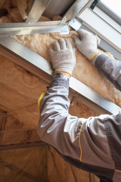 Best Insulation Installation Services in Schler Park, IL