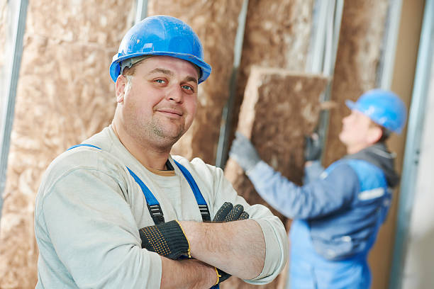 Best Types of Insulation in Schler Park, IL