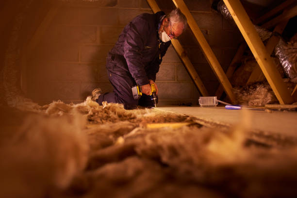 Best Insulation for Specific Applications in Schler Park, IL