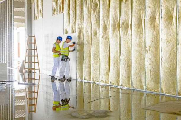Best Types of Insulation in Schler Park, IL